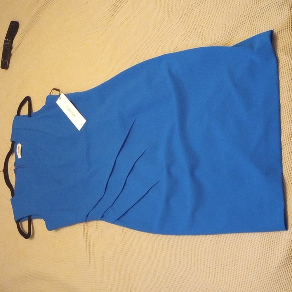 Blue Calvin Klein Dress